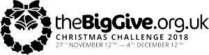 The Big Give 2018